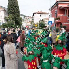 optkorzo_0008