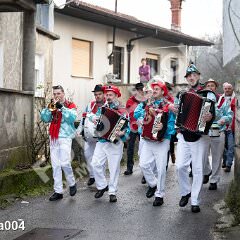 kzvoneca004
