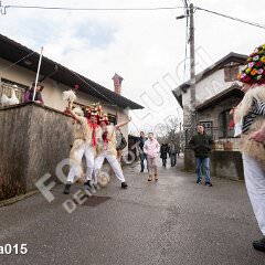 kzvoneca015