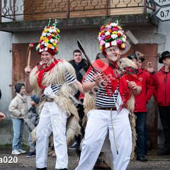 kzvoneca020