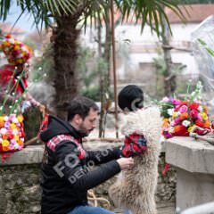 kfrlanija005