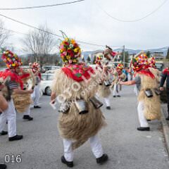 kmucici_016