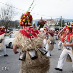 kmucici_017