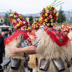 kmucici_018