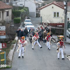 krukavac008