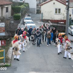 krukavac009