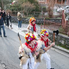 krukavac010