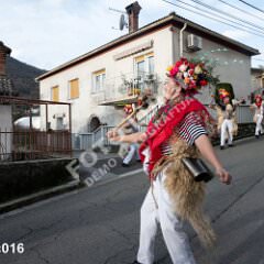krukavac016