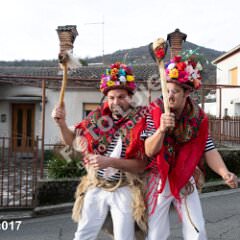 krukavac017