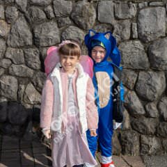 msmotr25_0019