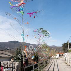 msmotr25_0020