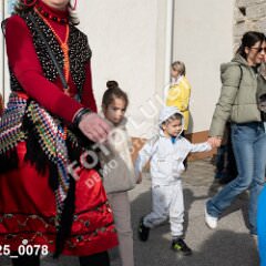 msmotr25_0078