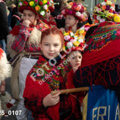 msmotr25_0107