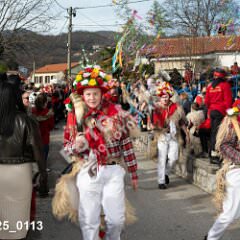 msmotr25_0113