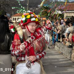 msmotr25_0114