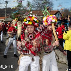 msmotr25_0115