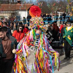 msmotr25_0159