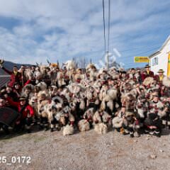 msmotr25_0172