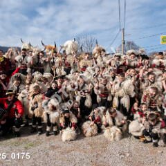 msmotr25_0175