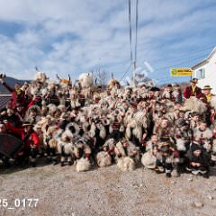 msmotr25_0177