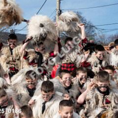 msmotr25_0186