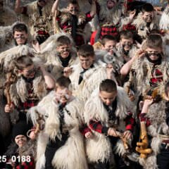 msmotr25_0188