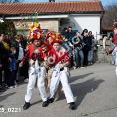 msmotr25_0221