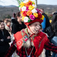 msmotr25_0223
