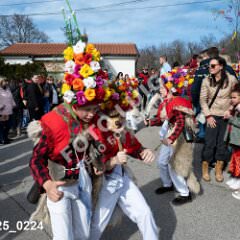 msmotr25_0224