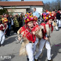 msmotr25_0226