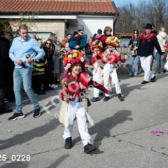 msmotr25_0228