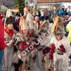 msmotr25_0267