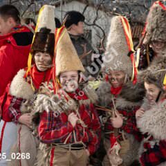 msmotr25_0268