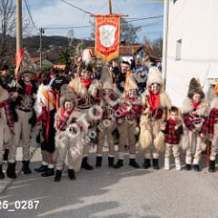 msmotr25_0287