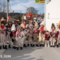 msmotr25_0288