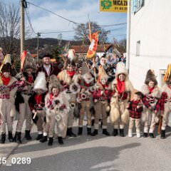 msmotr25_0289