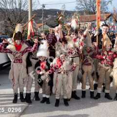 msmotr25_0296