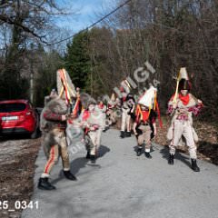 msmotr25_0341