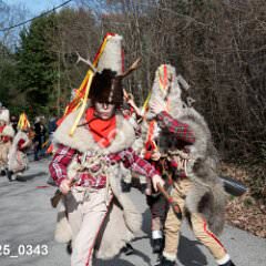 msmotr25_0343