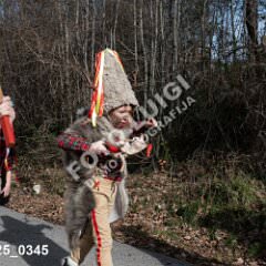 msmotr25_0345