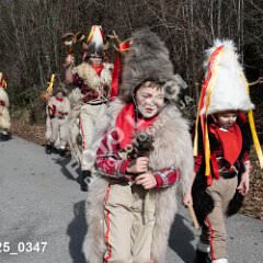 msmotr25_0347