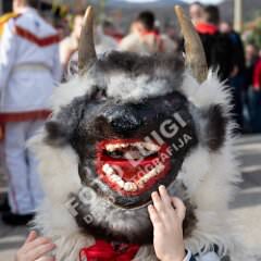msmotr25_0273