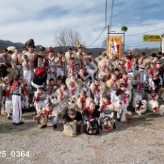msmotr25_0364