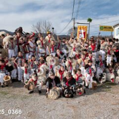 msmotr25_0366