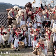 msmotr25_0369