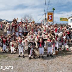 msmotr25_0373