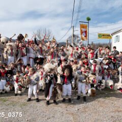 msmotr25_0375