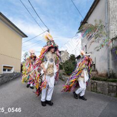 msmotr25_0546