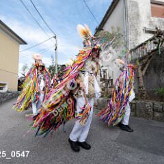 msmotr25_0547