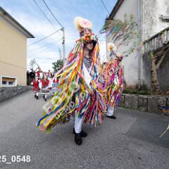 msmotr25_0548